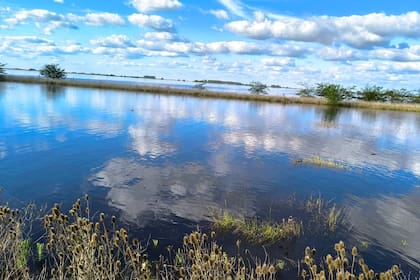 Son 125.000 las hectáreas afectadas en Bolívar