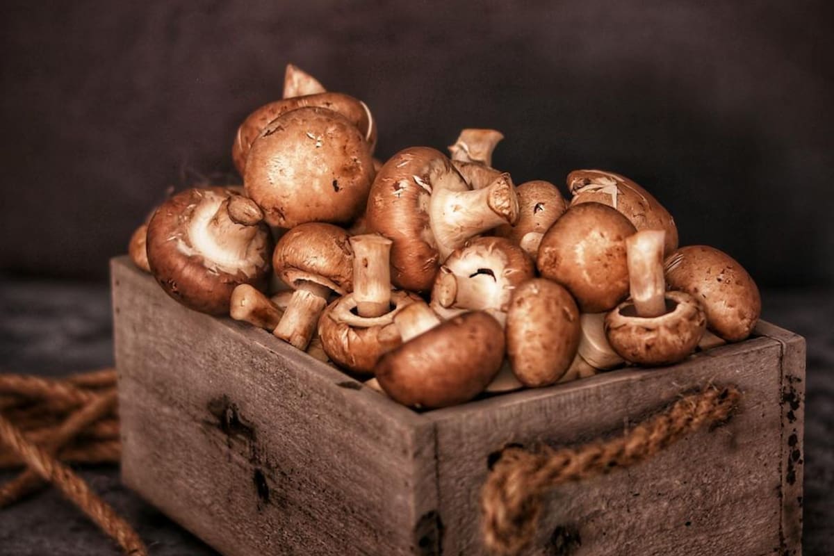 Son grandes aliados por sus propiedades, pero hay ciertas cosas que hay que tener en cuenta (Imagen ilustrativa)