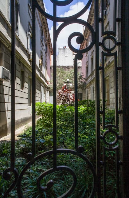 "Son jardines no transitables, pensados ciento por ciento para las vistas de quienes viven allí, además de un oasis en el tejido urbano, un ecosistema en su ley que atrae pájaros a la mañana y a la tarde”, dice la dueña de casa