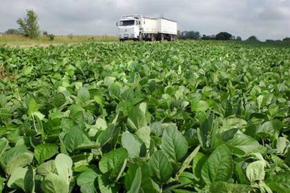 Son las provincias que cederán mayores recursos tras la reducción de transferencias