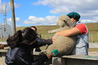 Una escuela agraria hace historia con una enseñanza única para decenas de jóvenes