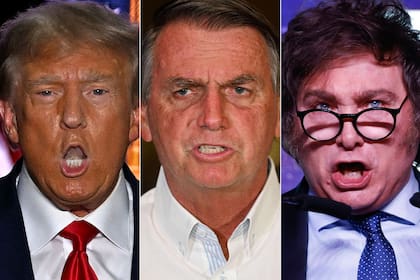 Son más las similitudes de Milei con dirigentes como Donald Trump y Jair Bolsonaro