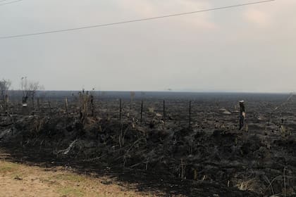 Son miles las hectáreas alcanzadas por las llamas en distintas partes de la provincia