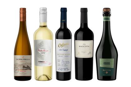 Algunas etiquetas de Riesling, Pinot Gris, Tannat, Tempranillo y Grüner Veltliner que pasaron por Club BONVIVIR el año pasado