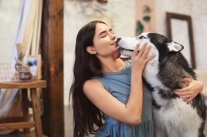 Son muchas las causas por las que tu perro intenta lamerte