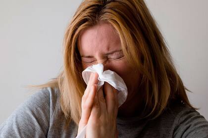 Son muy molestos pero están ahí para cumplir varios funciones