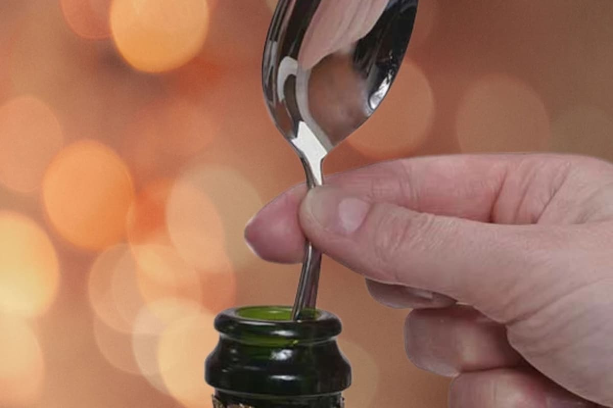 Son varias las teorías que postulan la efectividad de la cuchara como elemento que ralentiza la pérdida del CO2 disuelto en las bebidas