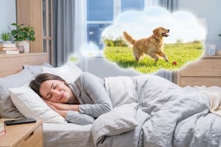 Qué significa soñar con convertirse en un animal y cuáles son los detalles a los que debés prestar atención