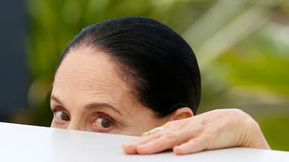 Sonia Braga, actriz y defensora de Dilma Rousseff