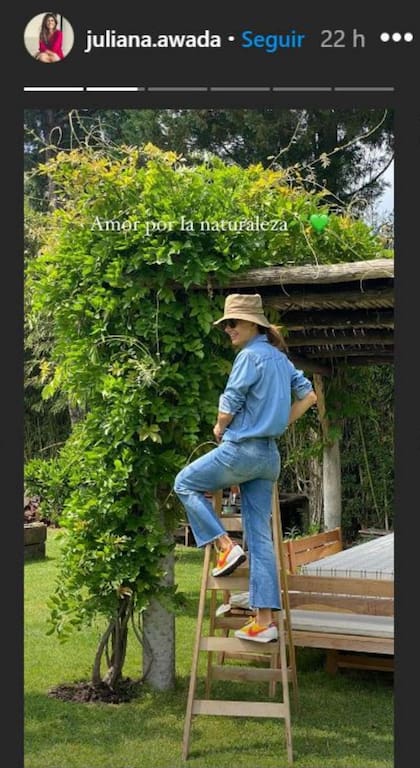 Awada se subió a una escalera para observar de cerca el crecimiento de una de las plantas que ornamentan el jardín de la casa que comparte en San Isidro con Mauricio Macri