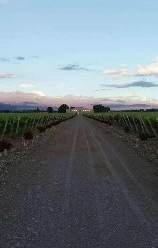 Concurso internacional. ¿Qué vino argentino fue reconocido como uno de los 10 mejores de Sudamérica?