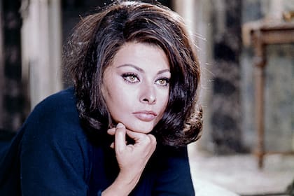 Sophia Loren