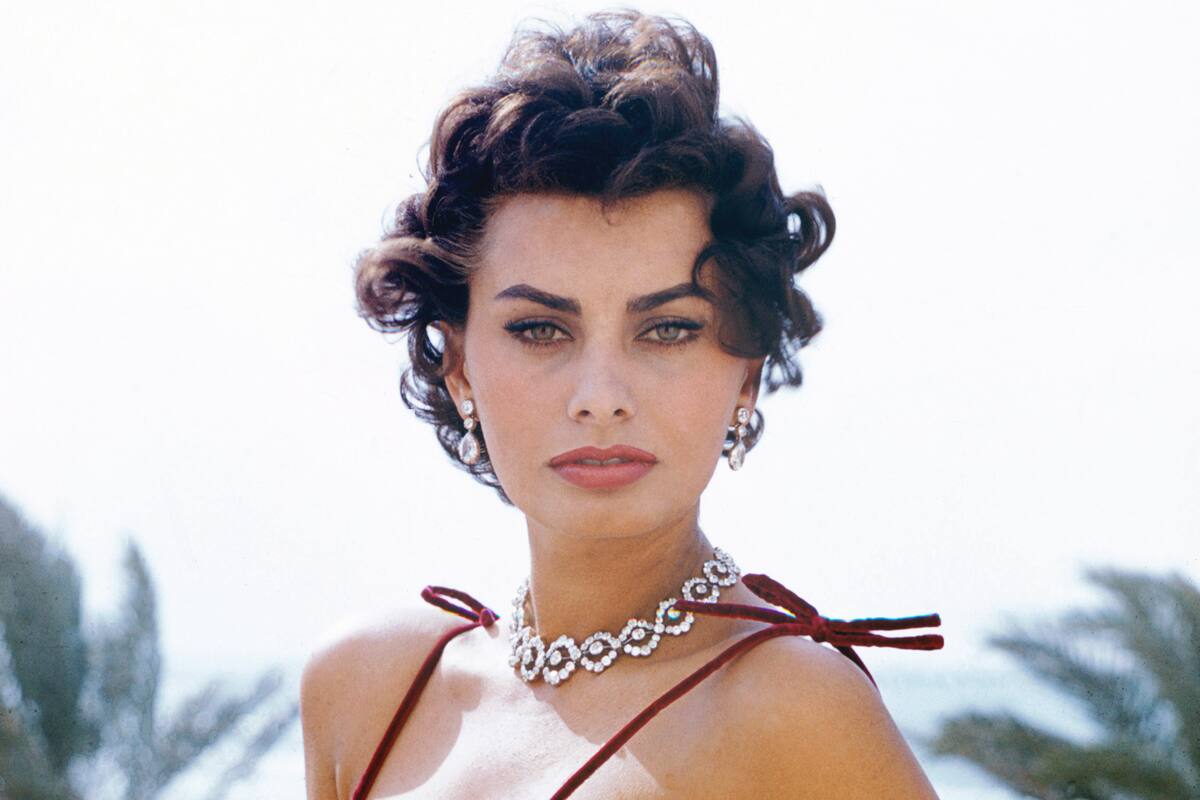 Sophia Loren; espectáculos