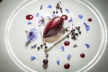 Sorbet de cassis y saúco con aromas a lavanda y flores de centaurea.