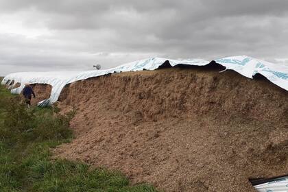 Un productor de La Armonía, cerca de Mar del Plata, sufrió la rotura de un silobolsa con 200 toneladas de sorgo para alimentación de hacienda