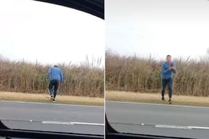 Sorpresa en la ruta: un viaje casual se transformó en un golpe de suerte para todos