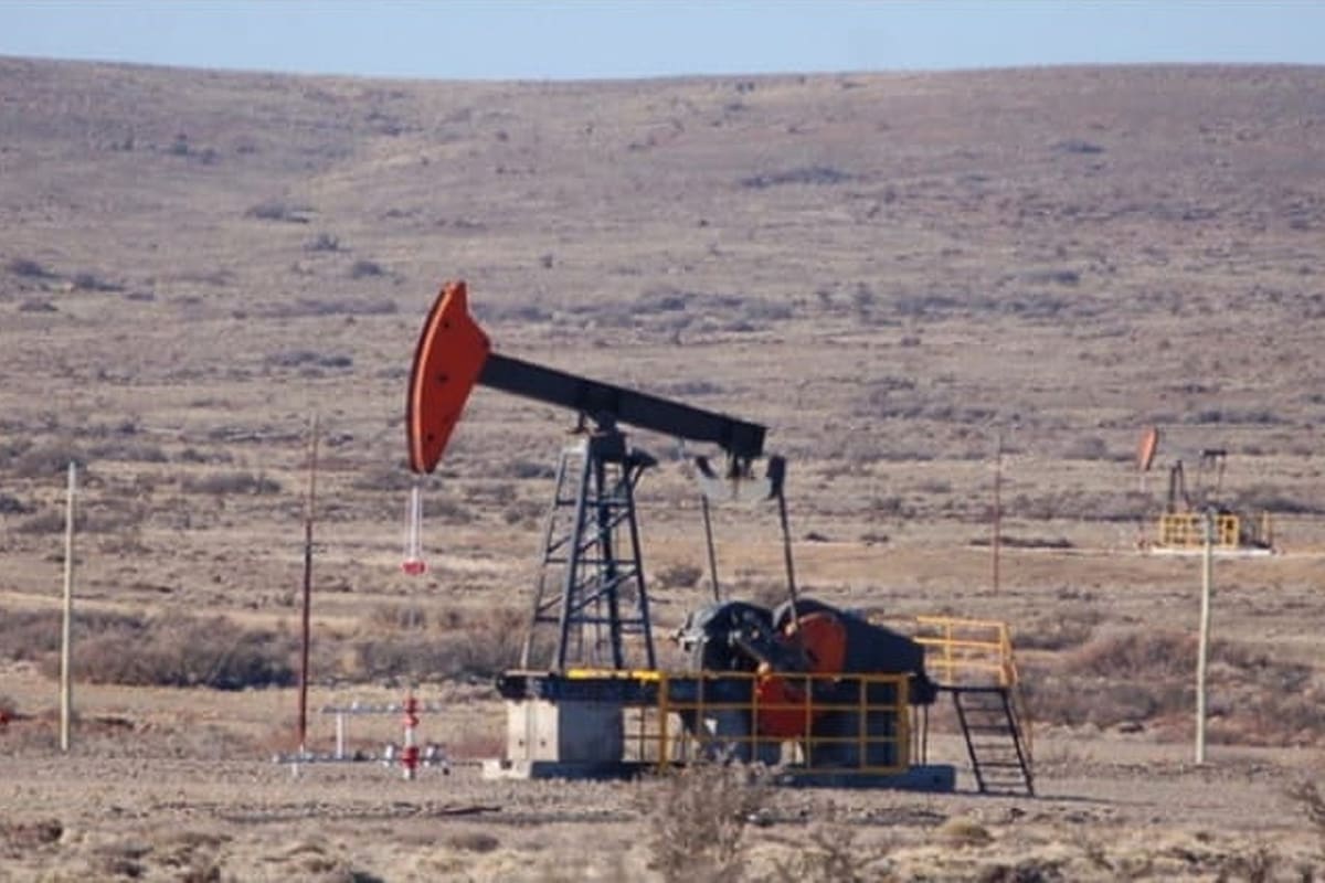 Sorpresa en Mendoza: hallan petróleo convencional en Vaca Muerta
