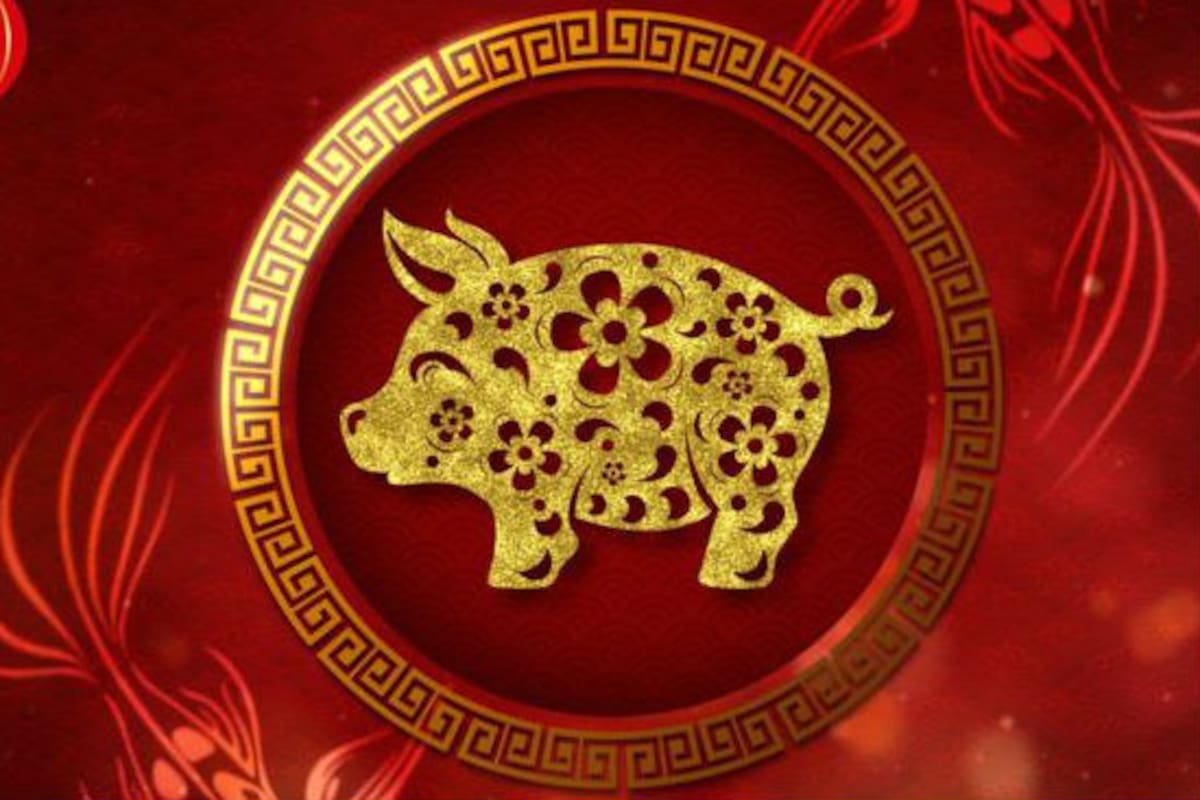¿Sos cerdo en el horóscopo chino?