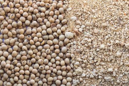 El complejo de la soja es el que más dólares aporta al país