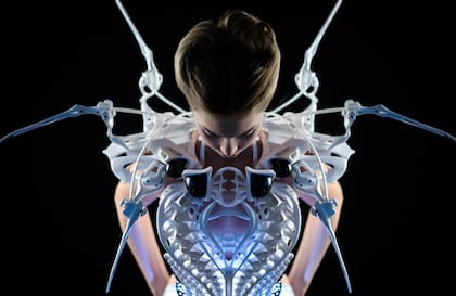 Spider Dress. Mecanismos de defensa para la intemidad.