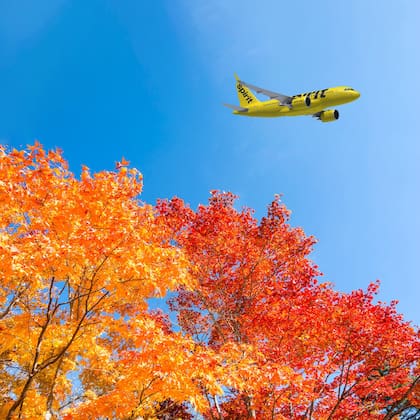 Spirit Airlines lanzó una oferta de viajes a Centroamérica