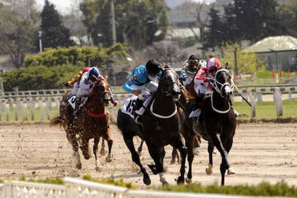 Splendid Key dejó segundo a Zamindar Quit, en el Junior Sprint, que abrió la serie