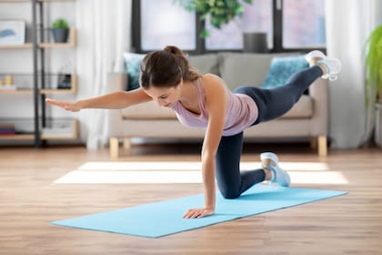 sport, fitness and exercising concept - happy young woman doing elbow knee crunches at home