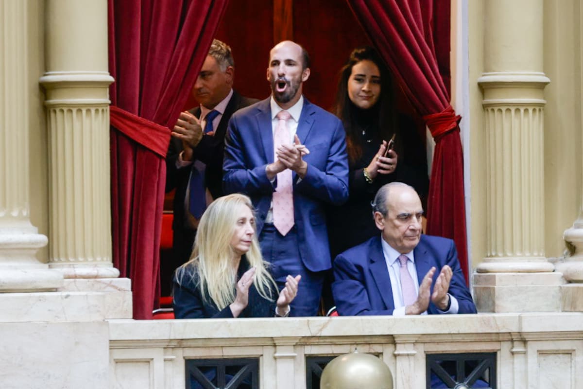 Ssesión en la cámara de diputados por la ley bases. Karina Milei y francos