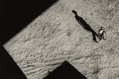 Alicia D´Amico, La sombra 1962. Integrará la muestra Mundo propio