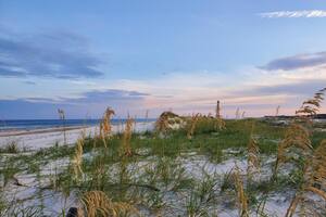 St. George Island State Park destaca por ofrecer una variedad de actividades recreativas en combinación con sus estrictas protecciones al medio ambiente