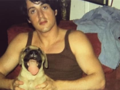 Stallone audicionó cuando era joven pero fue rechazado; a partir de ahí, se dedicó a escribir guiones para luego protagonizar Rocky