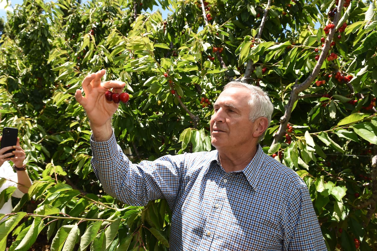 Stanley destacó que "han logrado producir frutos deliciosos en condiciones extremas”.