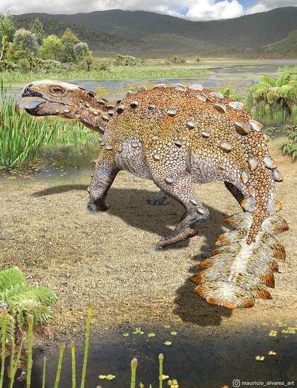 Stegouros elengassen tenía una longitud de unos dos metros, pesaba cerca de 150 kilos y era herbívoro.
