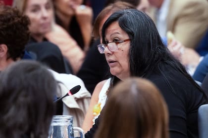 Stella Maurig, durante los debates en el Congreso