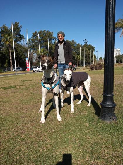 Stephanie Monte adoptó a Stitch de cachorro; enseguida empezó a notar como su barrio se pobló de galgos