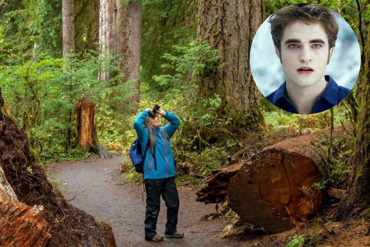 Stephenie Meyer escribió las novelas de la saga Crepúsculo, ambientadas en la ciudad de Forks, pese a que jamás estuvo allí