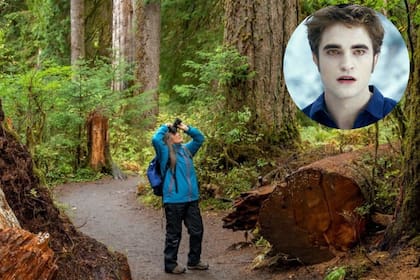 Stephenie Meyer escribió las novelas de la saga Crepúsculo, ambientadas en la ciudad de Forks, pese a que jamás estuvo allí