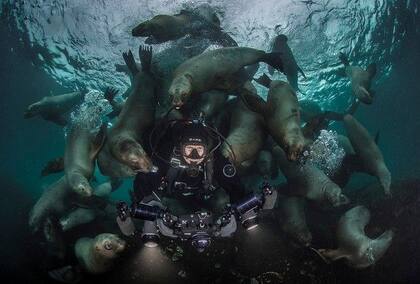 Steve Woods creó una peculiar relación con los animales marinos y lo demostró en esta imagen