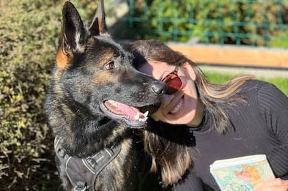 Los perros toman a los dueños como sus referentes afectivos
