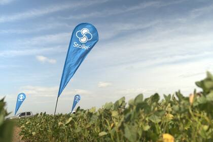 Stoller, "Soja Fuerte".