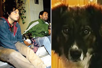 Stompy, el perro que interpretó a "Severino" en Okupas brilló en el set de la serie y le cambió la vida a uno de los protagonistas de la producción audiovisual