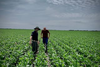 StoneX recorta previsión de la cosecha de soja de Brasil, eleva la de maíz
