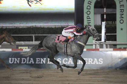 Strategos se impuso en el Gran Premio De Honor (G1), su primera experiencia sobre 2000 metros.