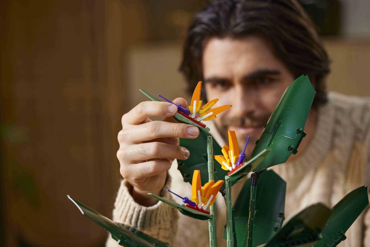 Strelitzia Reginae, en versión lego