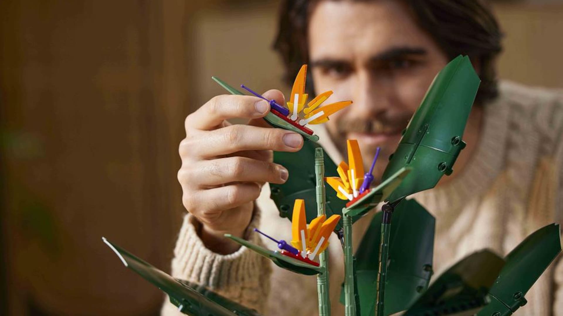 Strelitzia Reginae, en versión lego