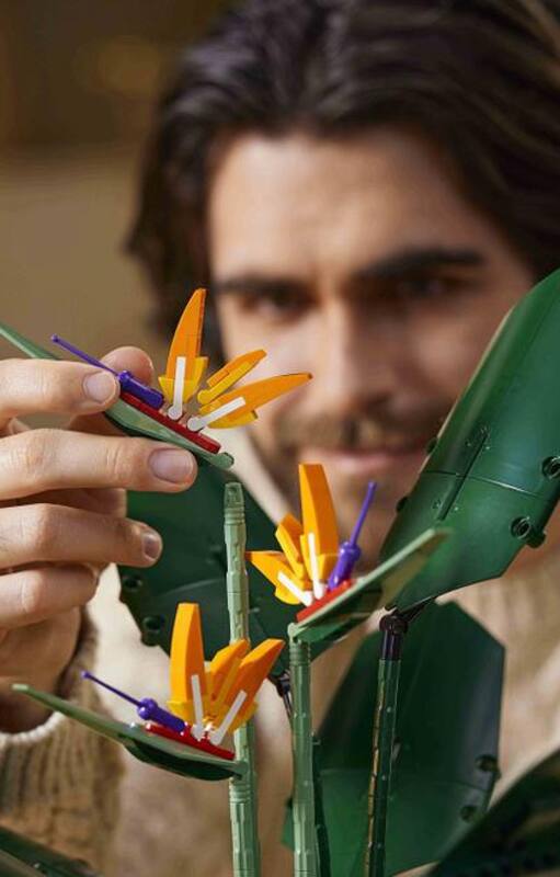 Strelitzia Reginae, en versión lego