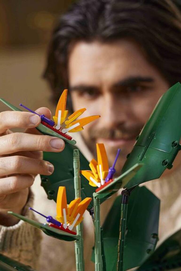 Strelitzia Reginae, en versión lego