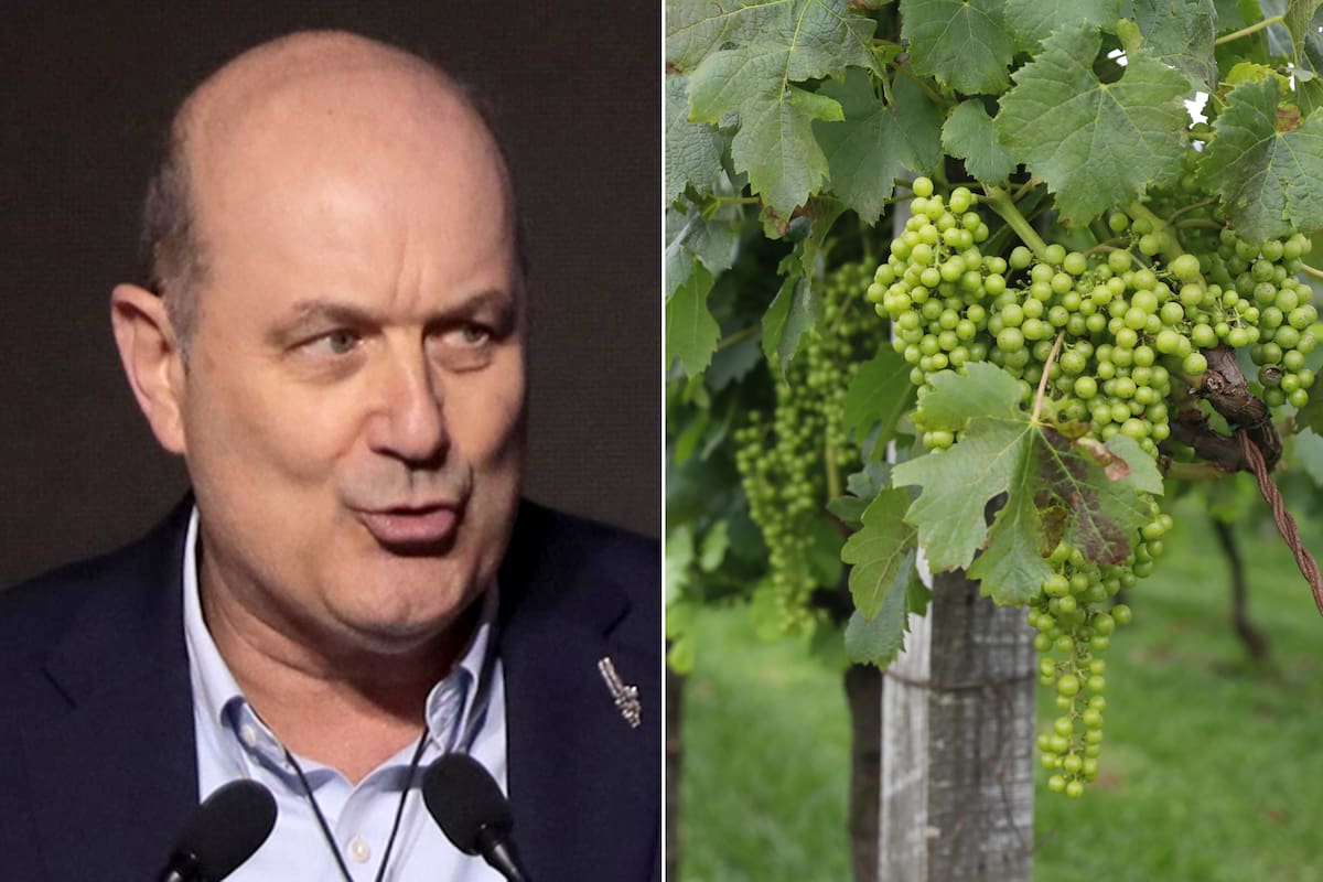 Sturzenegger dijo que "ya no andarán los inspectores del INV interfiriendo en la producción de las bodegas, un reclamo de los productores que se repetía sin cesar"