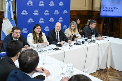 Sturzenegger en la comisión de Legislación General
