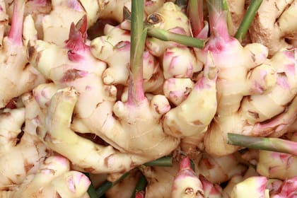 Su aroma a cítricos, pino y alcanfor la convierte en un condimento único e inconfundible.